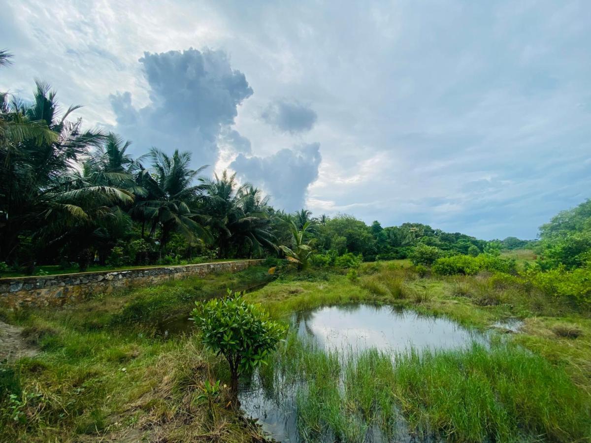 Hidden Garden Tangalle Luaran gambar