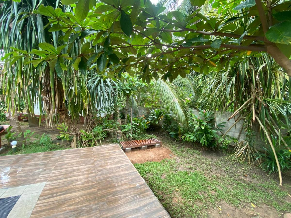 Hidden Garden Tangalle Luaran gambar