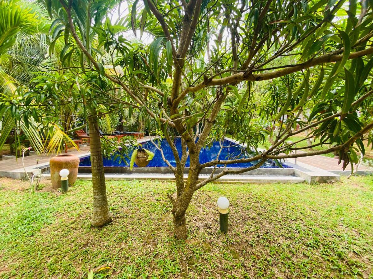 Hidden Garden Tangalle Luaran gambar
