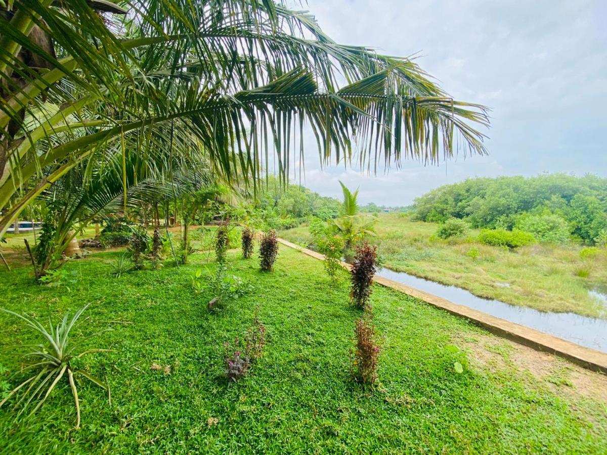 Hidden Garden Tangalle Luaran gambar