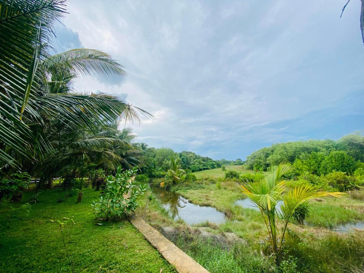 Hidden Garden Tangalle Luaran gambar